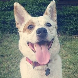 Meet your Posher, Marcella